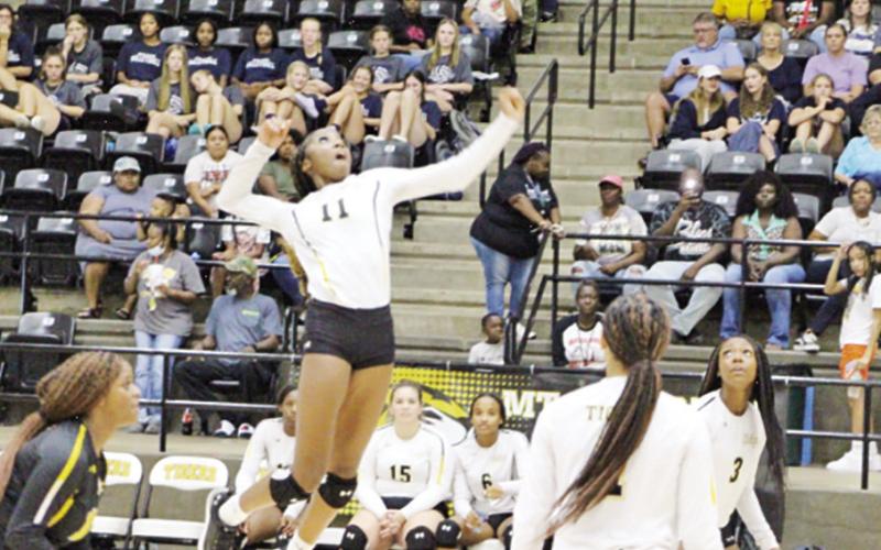 Lady Tigers outlasted by Pine Tree to open district