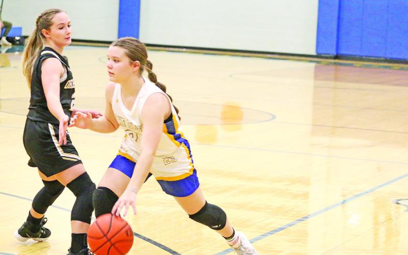 Peyton Cameron makes a move towards the hoop. The Harts Bluff Lady Bulldogs opened district play Friday at home against James Bowie. TRIBUNE PHOTOS / QUINTEN BOYD