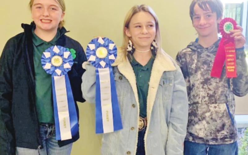 Titus County 4Hers excel