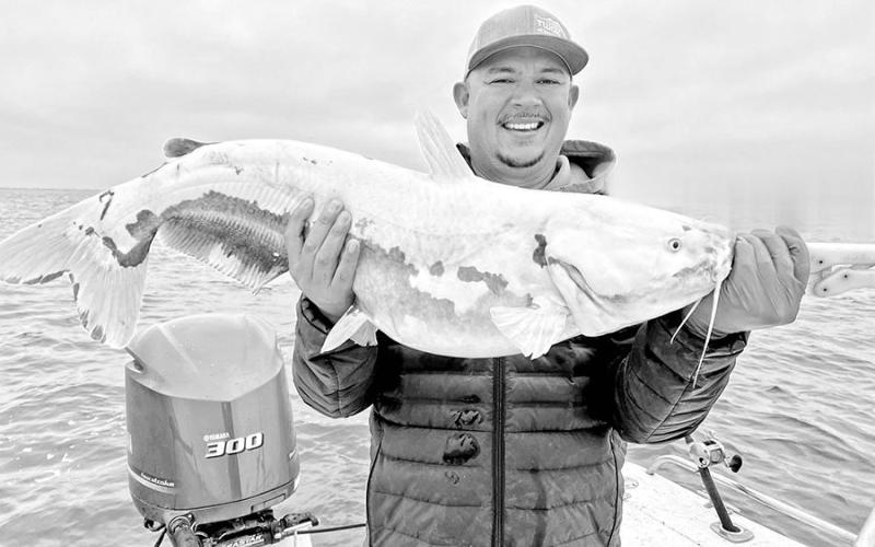 Lake Tawakoni fishing guide Noel Ibarra was drifting a piece of fresh gizzard shad over a main lake point last March when he hooked up with a rare piebald blue catfish weighing 26 pounds. COURTESY PHOTO / NOEL IBARRA