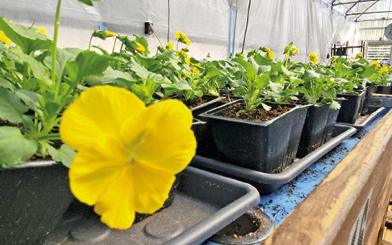 Master Gardener Association invites all to Fall Open House