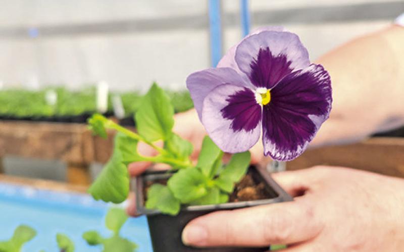 Master Gardener Association invites all to Fall Open House