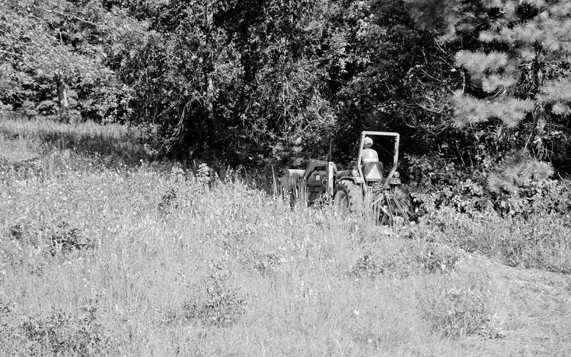 Brush hogging an overgrown pasture during the height of fawning season from May through early July can be risky business. If possible, it’s better to wait until later in summer. Fawns will be more mobile and wary by then. Walking a field beforehand is never a bad idea. (Photo by Matt Williams)