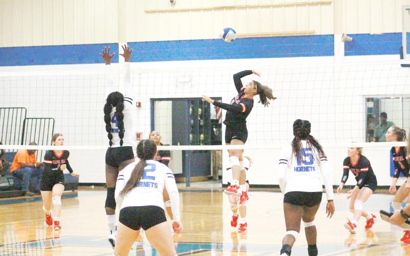 Lady Devils compete in area tournament