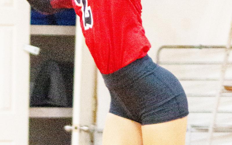 Lady Devils compete in area tournament