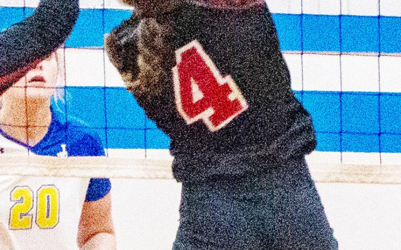 Lady Devils compete in area tournament