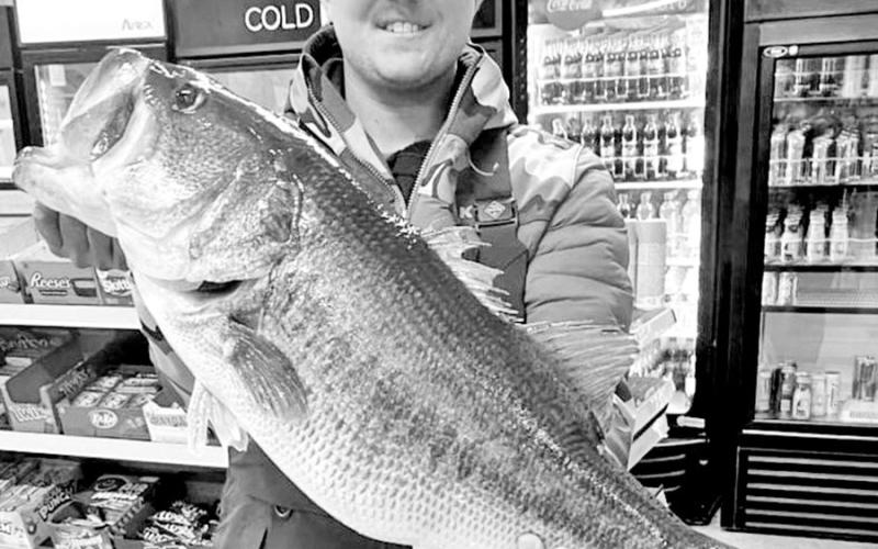 Lane Olson of Mineola caught his 13.26 pound Legacy Lunker using an umbrella rig. (Courtesy Photo)
