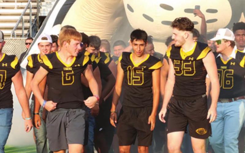 Meet the Tigers