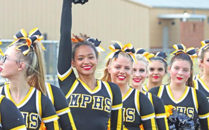 Meet the Tigers