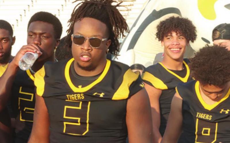 Meet the Tigers