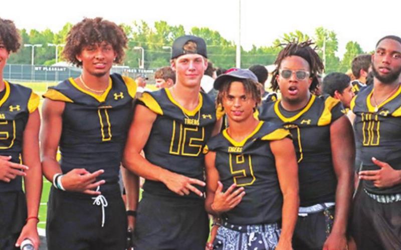 Meet the Tigers