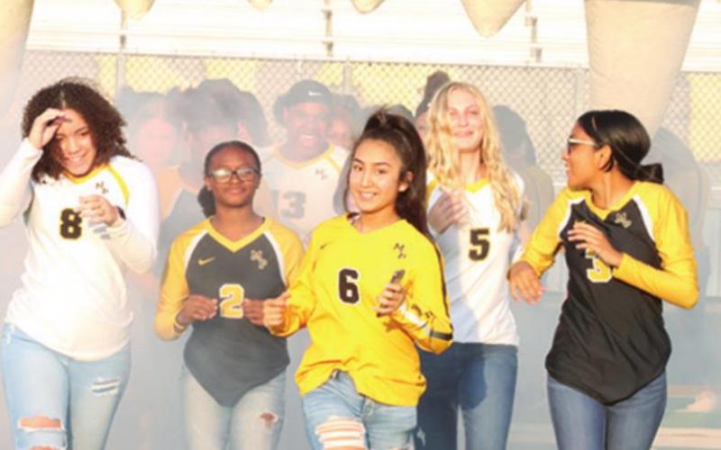 Meet the Tigers