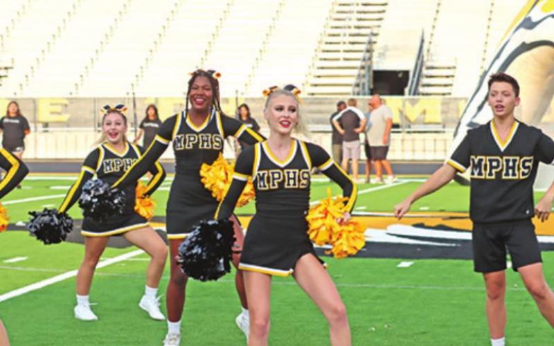 Meet the Tigers