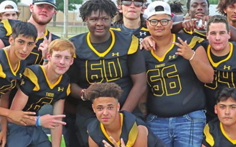 Meet the Tigers