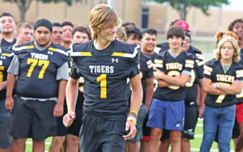 Meet the Tigers
