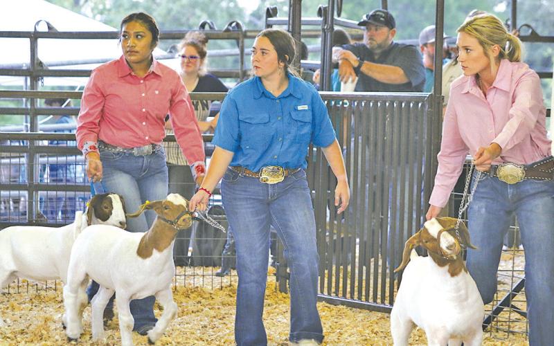 TITUS COUNTY FAIR