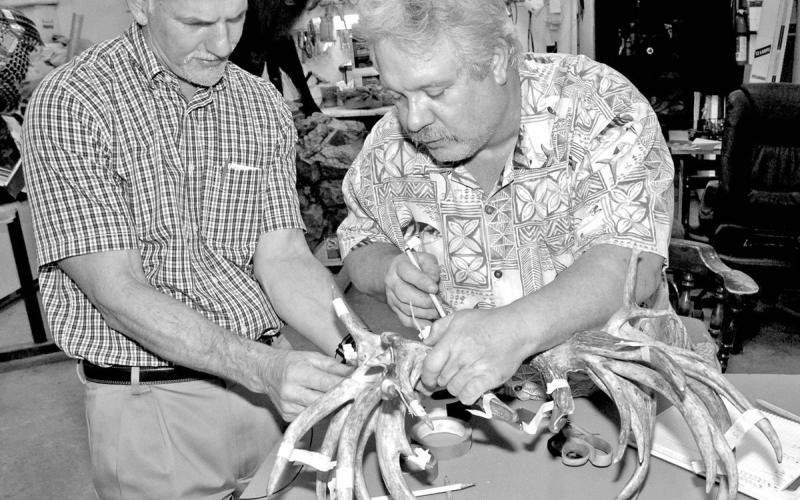 It never hurts to have more than one set of trained eyes when taping non-typical antlers with lots of abnormal growth. Some non-typical can be tricker to score than others. (Photo by Matt Williams)