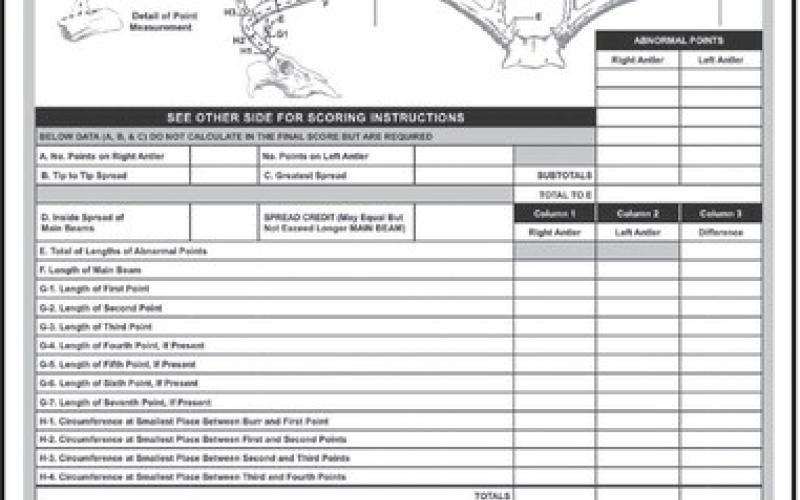 #3 Stand Alone Boone and Crockett Score Sheet (B&amp;amp;C Club)
