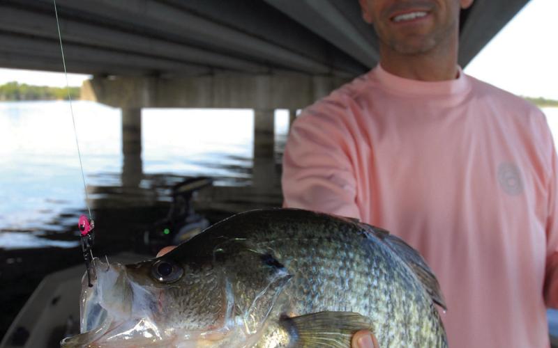 Lake Fork fishing guide Gary Paris believes that forward-facing sonar usage could lead to a negative impact on the abundance of large crappie in his home lake. He contends that many anglers are using the technology to deliberately target big females for harvest rather than settling for a limit of 1012 inch fish. COURTESY PHOTO / MATT WILLIAMS