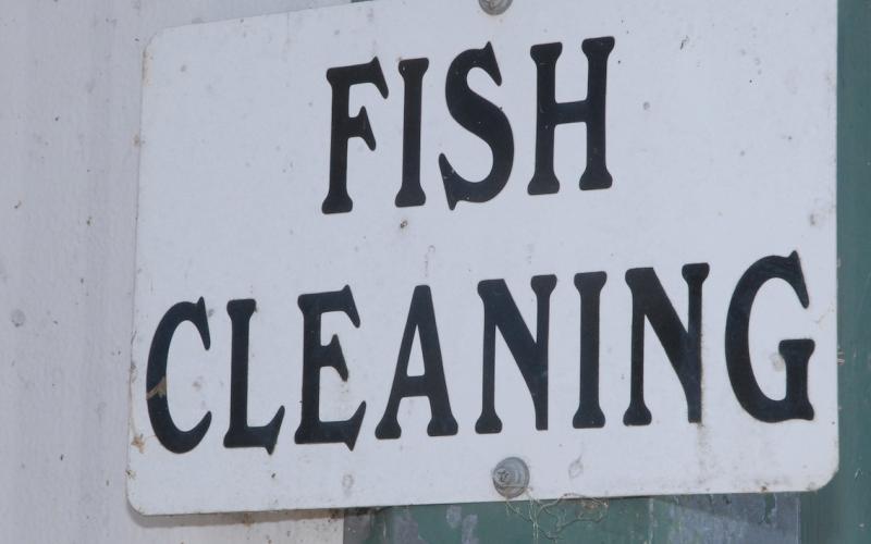 Crappie are school fish by nature that are highly sought for food. Texas’ statewide limit is liberal — 25 fish, 10 inch minimum length per day, per angler. COURTESY PHOTO / MATT WILLIAMS