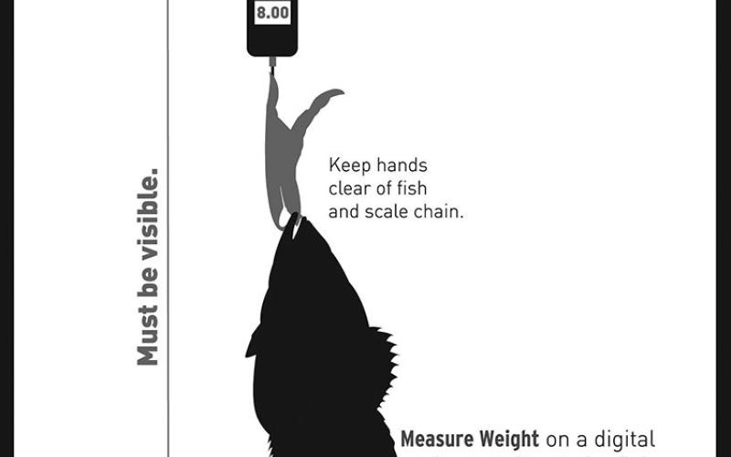 All Legend and Elite Class entries must be accompanied by photo documentation showing the fish a digital scale with the reading visible.