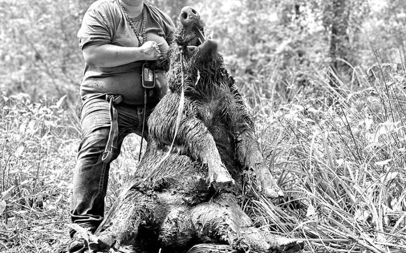 Haelee Modisett with a big boar she and her dogs wrangled in Angelina County. (Courtesy Photo)