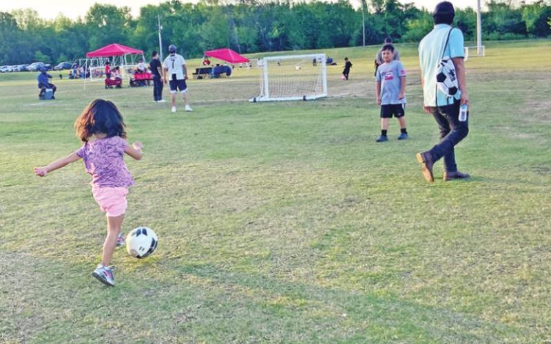 City holds PineFest celebration
