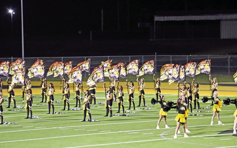 Tiger Fest