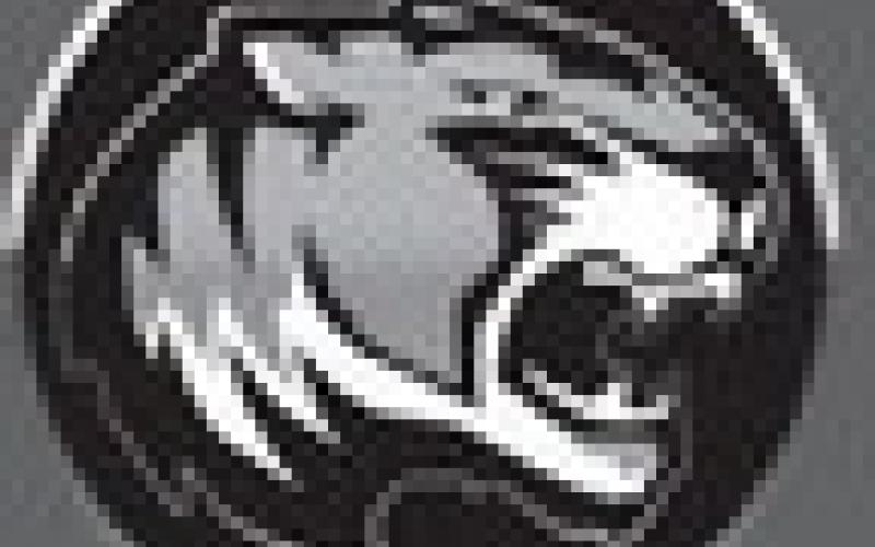 MPISD
