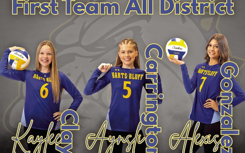 Harts Bluff student athletes earn recognition for their volleyball play