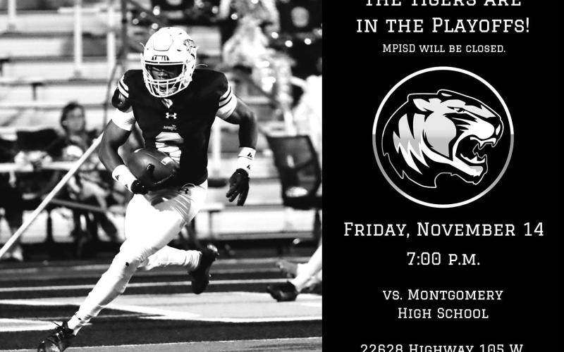 The Tigers are in the playoffs!