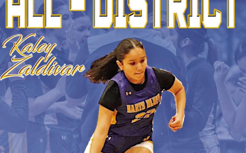 Harts Bluff Lady Bulldogs earn outstanding achievements in basketball season