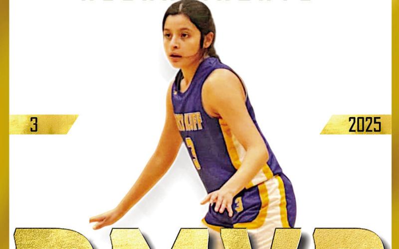 Harts Bluff Lady Bulldogs earn outstanding achievements in basketball season