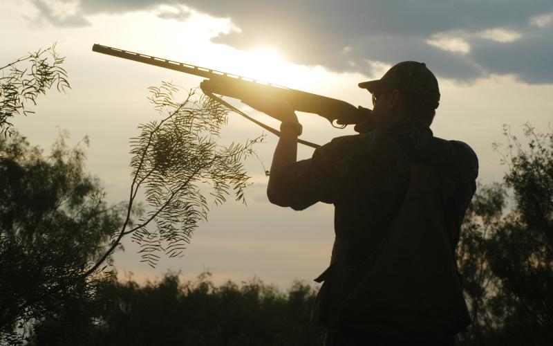 Thousands of Texas hunters will take the field on September 1 as the 2023-24 dove season gets underway at 30 minutes before sunrise. Dove hunting is a feathered cash cow believed to generate about $316 million annually for the state’s economy. COURTESY PHOTOS / MATT WILLIAMS