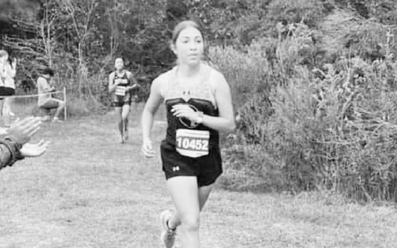 Tiger XC takes district championship