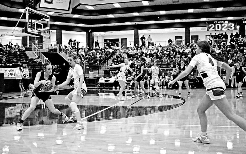 Lady Devils battle way to regional final, finish second in region
