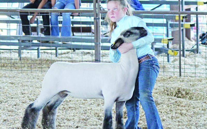 Lilly Cameron, of Titus County 4-H, was just one of the many who displayed their talents and hard work at last week’s Titus County Fair. TRIBUNE PHOTO / RYLEIGH STEGALL