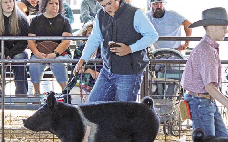 Titus County Fair kicked it up till the end