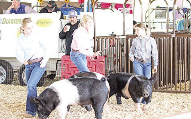 Titus County Fair kicked it up till the end