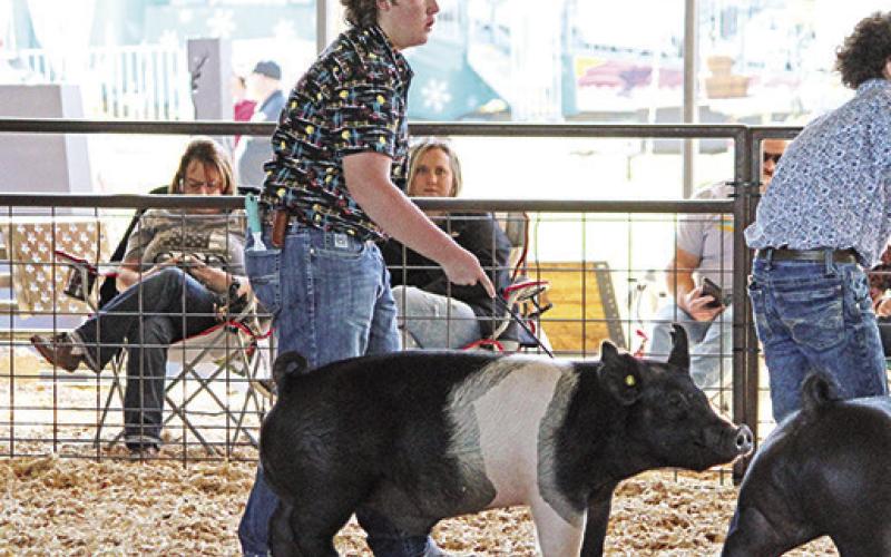 Titus County Fair kicked it up till the end