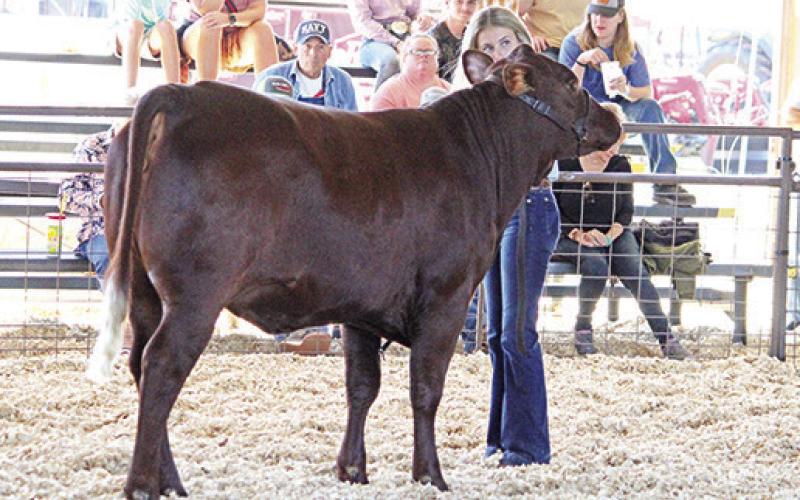 Titus County Fair kicked it up till the end
