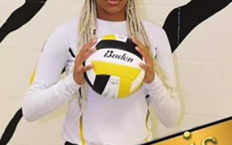 Lady Tigers honored by district coaches