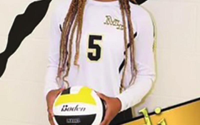 Lady Tigers honored by district coaches