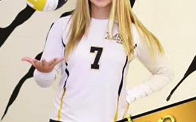 Lady Tigers honored by district coaches