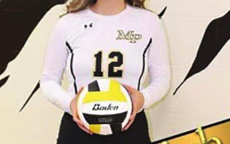 Lady Tigers honored by district coaches