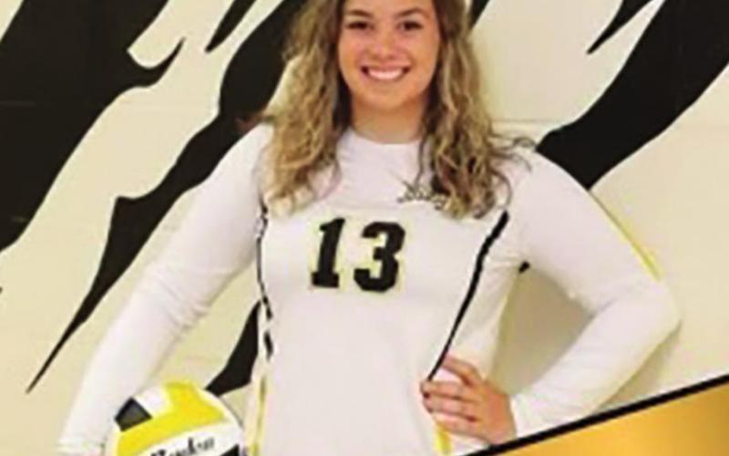 Lady Tigers honored by district coaches
