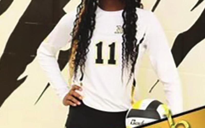 Lady Tigers honored by district coaches