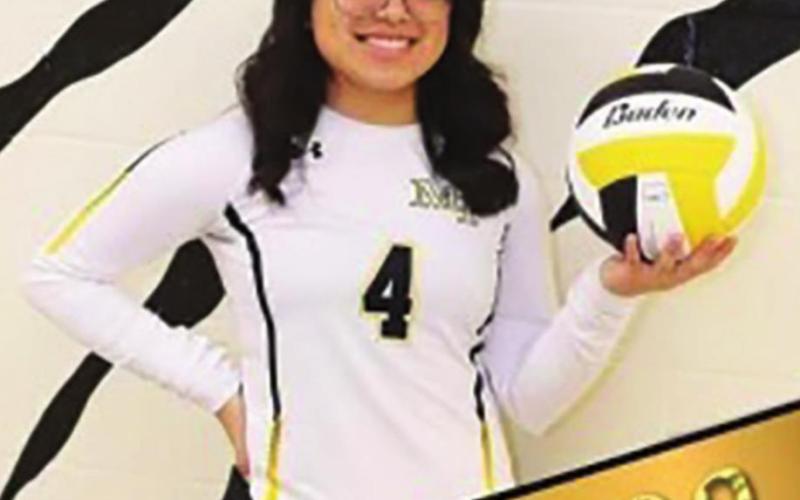 Lady Tigers honored by district coaches