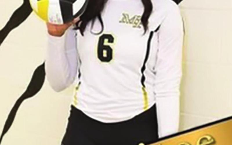 Lady Tigers honored by district coaches