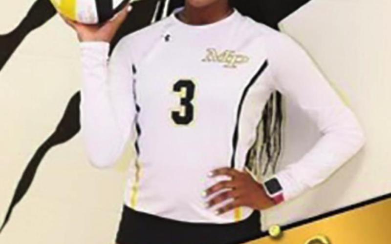Lady Tigers honored by district coaches